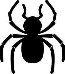 Simple spider isolated black icon