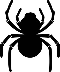Simple spider isolated black icon