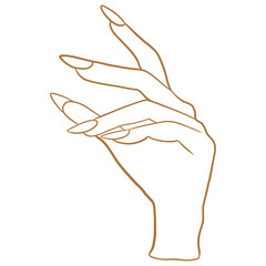 Beautiful Hand And Nails Drawing