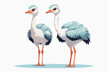 Two ostriches on white background, flat style vector illustration for children, simplified character design, soft pastel shades