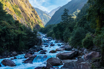 Naklejka na ściany i meble Tamor River on route to Kanchenjunga Base Camp Trek, Nepal