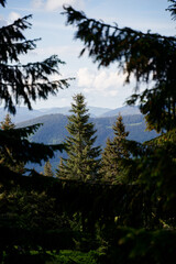 Beautiful mountain landscape with green forest. Carpathians, Ukraine.Beautiful mountain landscape with green forest. Carpathians, Ukraine.