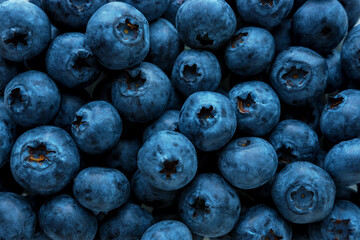Textured background of fresh raw blueberries. Food concept. Close-up.