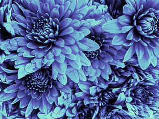 blue halftone effect background of flowers texture, visual graphics