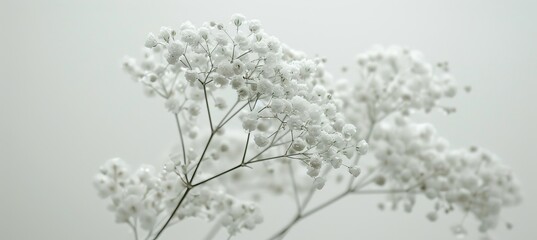 Spring bouquet minimalist wallpaper on soft white blurred background with space for text