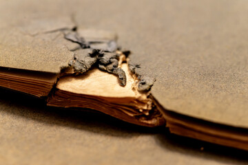 zniszczony fragment książki lub notesu