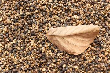 coffee seeds