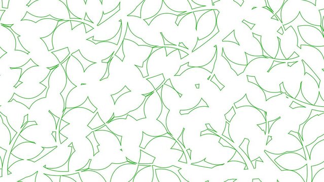 Animated linear floral background. Line green leaves on branch is drawn gradually. Concept of gardening, ecology, nature. Vector illustration isolated on white background.