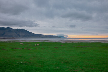 Obraz premium Beautiful icelandic landscape in early morning. Green grass, yellow sunrise, clouds and road in the distance. Very beautiful scenery around hvalnesviti