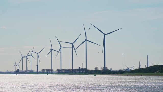 Wind turbines in an offshore wind farm in the North Sea just off the coast of the Netherlands, on a clear day. High quality 4k footage