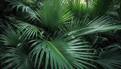 Green leaves pattern ,leaf palm tree in the forest