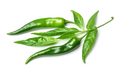 leaf chili isolated on white background ,Green of pepper leaves pattern
