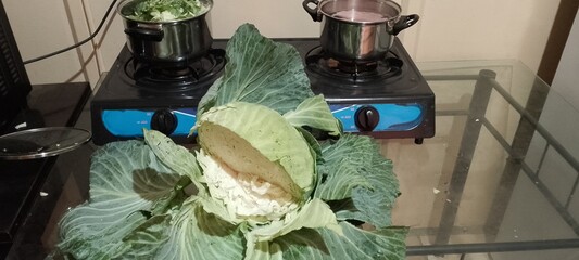 Closeup photo of the inside of a large green crispy Cabbage head that has been cut open in half with huge leaves draping on the sides and a blue two plate stove with pots in the background