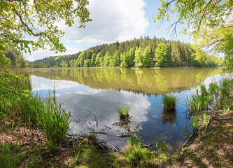 pictorial lake Thanninger Weiher, in spring, green branches and water reflection