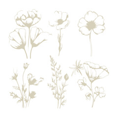 Delicate set of watercolor meadow flowers