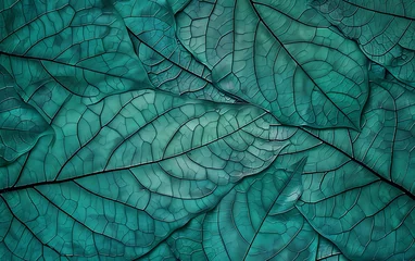 Fotobehang turqoise leaf texture, leaf background with veins and cells background illustration. generative ai © alexandre