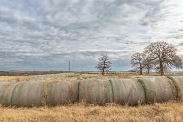 round hay bales in a field 
