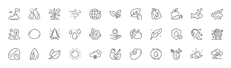 Bio tags, Sun protection and Soy nut line icons. Pack of Fish, Sunny weather, Leaves icon. Christmas tree, Green energy, Water drop pictogram. Apple, Feather, Sleep. Co2, Apple carrot. Vector