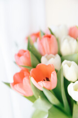 Red tulips in a white interior - 768992639