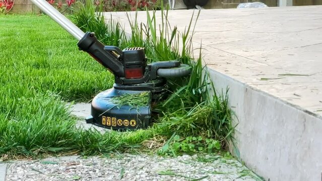 Hand held grass trimmer mowing green lawn