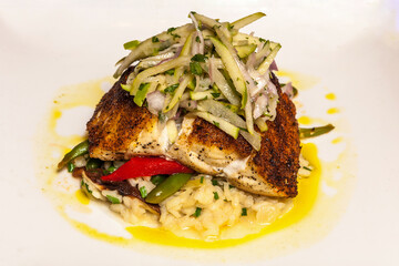 Red Snapper Gourmet Dinner