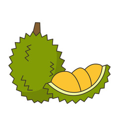 Healthy Fruit Illustration