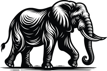 Black and white vector showing an elephant walking with textured skin detail