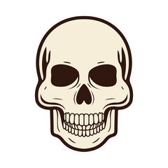 Vintage skull vector illustrations. Black and white human skull. Different skull tattoo vector illustrations. Anatomical Skulls Vector Set