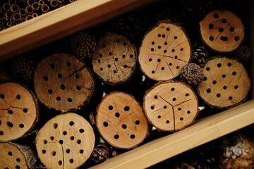 The handmade wooden bee hotel is located in the botanical garden in the center of Belgrade, the...