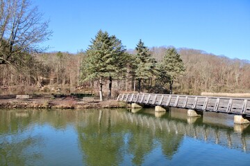 Fototapeta na wymiar wooden bridge over the lake