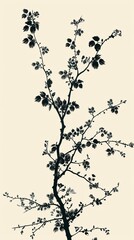 Artistic floral vine silhouette against a minimalist backdrop, modern and chic, ideal for stylish decor or prints