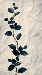 Artistic floral vine silhouette outline against a minimalist background, modern and chic, for stylish wall art or fashion print