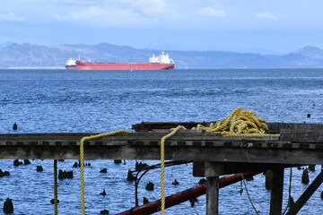 Thick rope laying on old dock covered in algae. Large freighter in background.