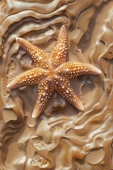 The starfish are lying on the sand. View from above. The concept of a summer sea or beach