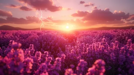Fototapete Rund A field of lavendel during sunset and beautiful sky  © Alexander Beker