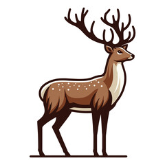 Fototapeta premium Deer full body design illustration, standing reindeer with antlers illustration, wild mammal animal concept. Vector template isolated on white background