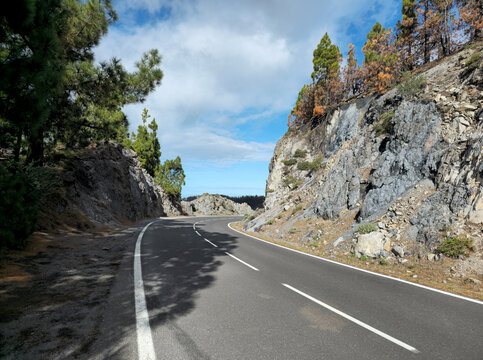 Mountain road TF-24, Island Tenerife, Canary Islands, Spain, Europe.