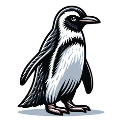 Naklejka premium Cute penguin full body vector illustration, zoology element illustration, Antarctic south pole bird animal icon, cartoon design template isolated on white background