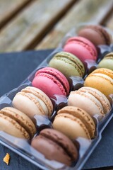 Colorful  Macaroons: Close-Up Elegance with a Natural Backdrop