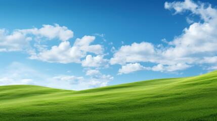 Fototapeta premium Beautiful Landscape view of green grass on a slope with blue sky and clouds background.