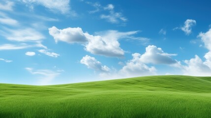 Obraz premium Beautiful Landscape view of green grass on a slope with blue sky and clouds background.