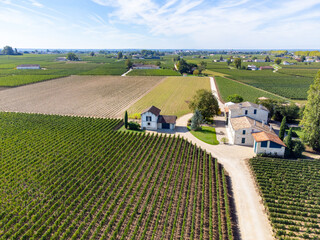 View on Pomerol village, production of red Bordeaux wine, Merlot or Cabernet Sauvignon red wine...