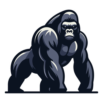 Wild gorilla full body vector illustration, primate animal zoology element illustration, standing strong big ape concept, design template isolated on white background