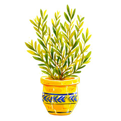 Watercolor olive tree in a pot PNG.