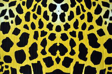 textura leopardo 