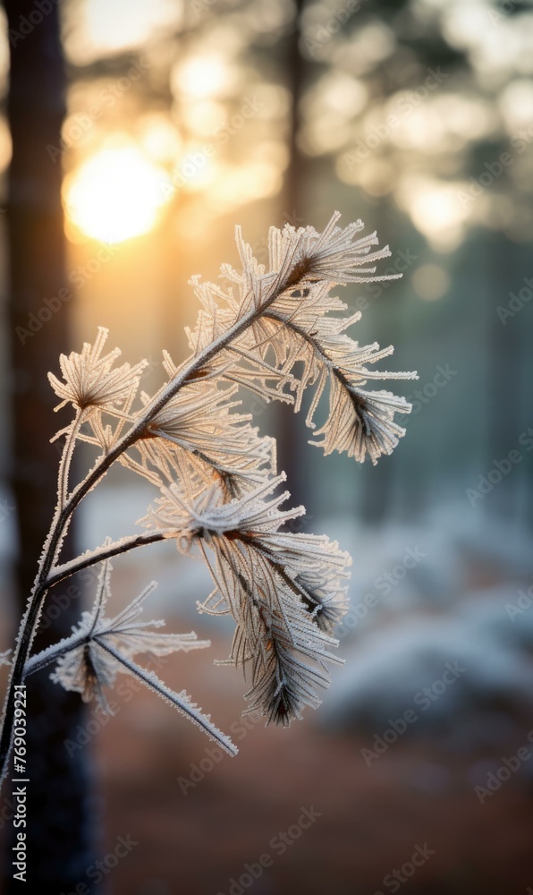 Poster a close up of a tree branch covered in frost. generative ai.