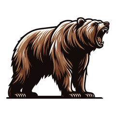 Roaring grizzly bear full body vector illustration, wild beast brown bear, animal predator zoology element illustration, design template isolated on white background - obrazy, fototapety, plakaty