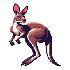 Kangaroo full body design illustration, wildlife zoology illustration, Australian mammal animal mascot character. Vector template isolated on white background