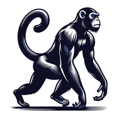 Obraz premium Monkey ape chimpanzee full body vector illustration, wild animal primate, standing monkey illustration concept, design template isolated on white background
