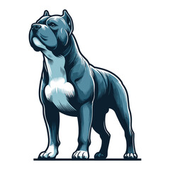 Obraz premium Pitbull bulldog full body vector illustration, Full-length portrait of a standing animal pet pitbull terrier dog. Design template isolated on white background
